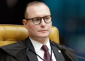 advogado, representação, profissional, defesa, técnica;