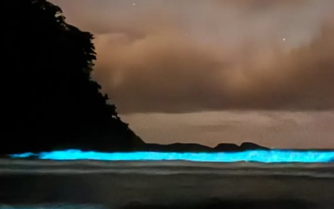 fenômeno raro, espetáculo natural, luz química';