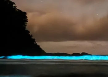 fenômeno raro, espetáculo natural, luz química';