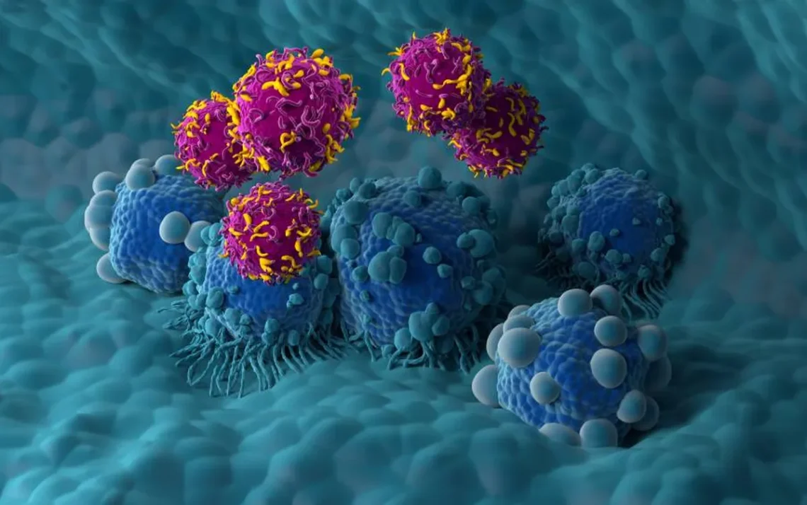tratamento, saúde, oncologia;