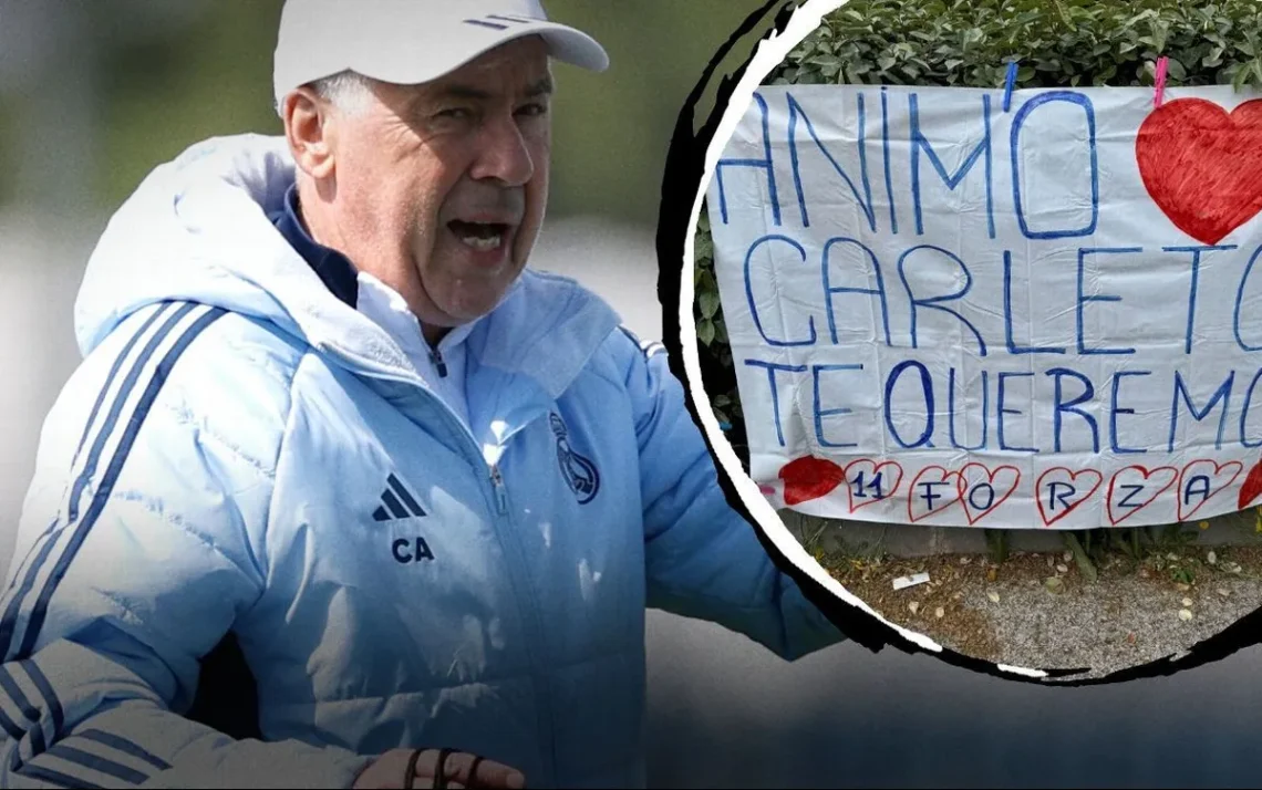 treinador, comandante, técnico';