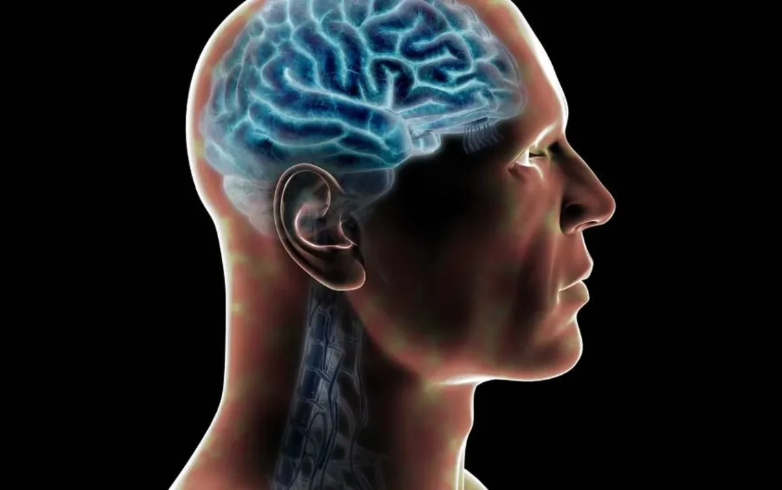 doença cerebral, condição neurológica, distúrbio cerebrospinal';