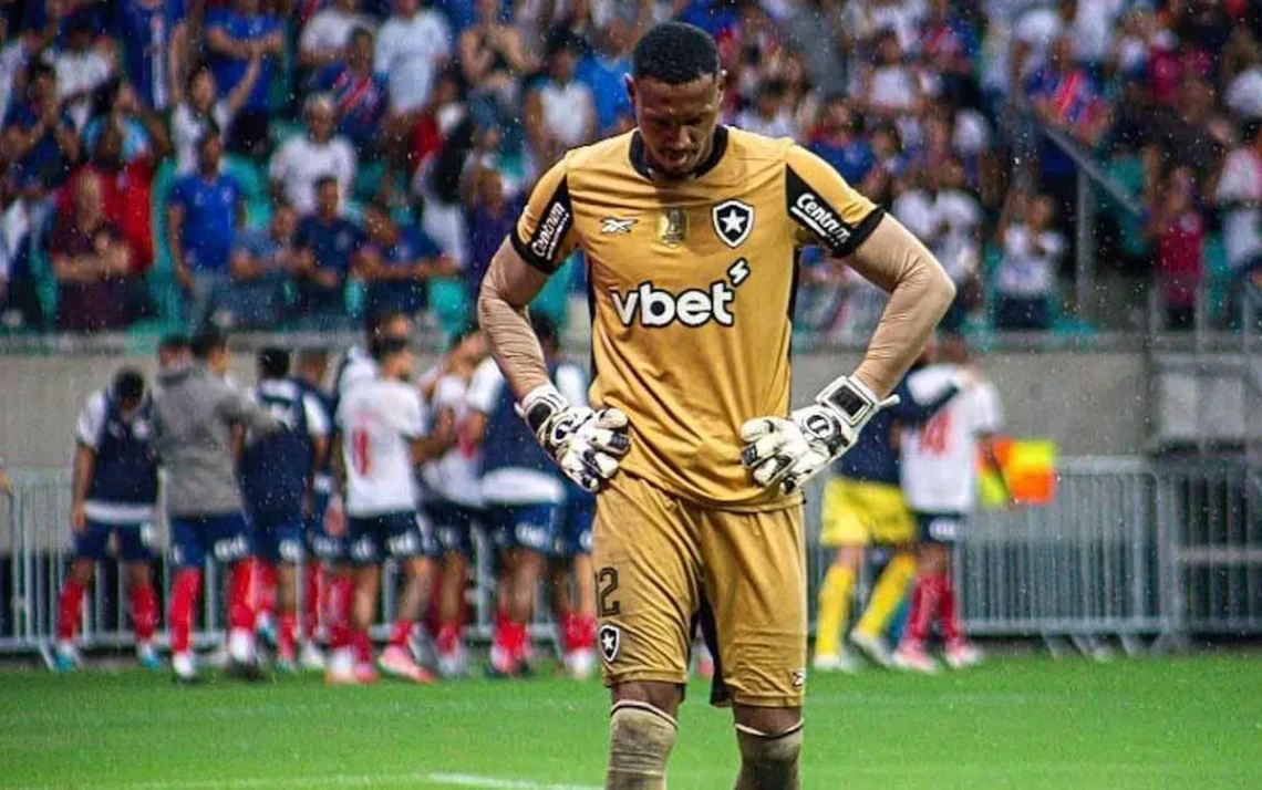 juiz, árbitro, comentarista;
