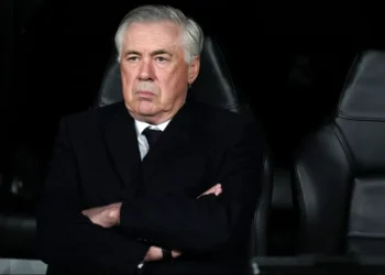 treinador, técnico, comandante;