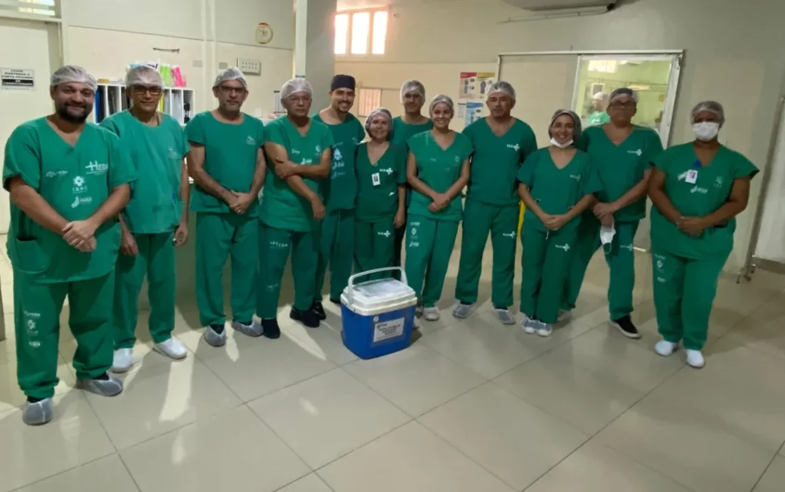 Medicina, Cuidado, Assistência;