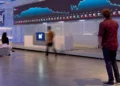 mercado de capitais, bolsa brasileira, segmento de listagem';