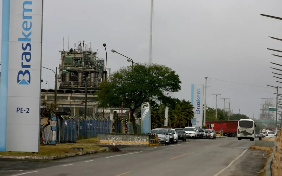 empresa, companhia, petroquímica;