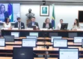 ensino, instrução, aprendizado';