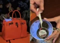 sofisticação, elegância, riqueza, opulência;