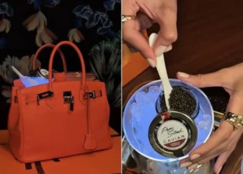 sofisticação, elegância, riqueza, opulência;