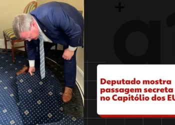 Parlamentar, Legislativo, Representante';