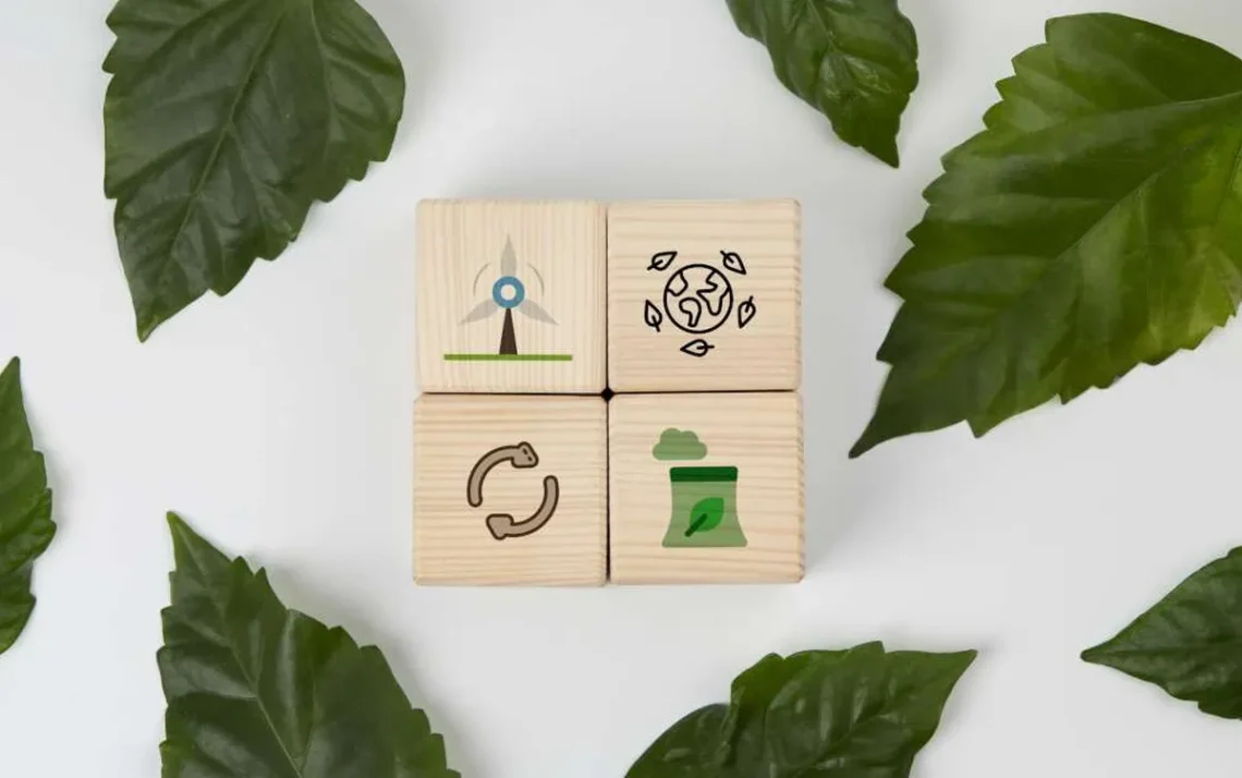 evolução ecológica, mudança ambiental, transformação natural;