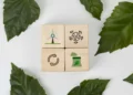 evolução ecológica, mudança ambiental, transformação natural;