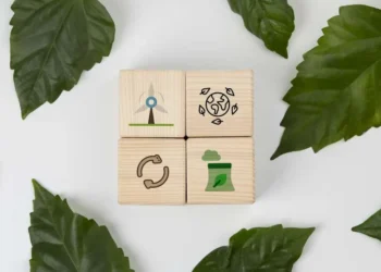 evolução ecológica, mudança ambiental, transformação natural;