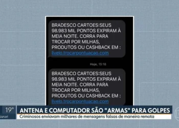 fraude, estelionato, engodo, ardil';