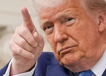 presidente, republicano, Donald Trump;