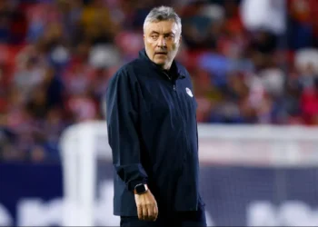 técnico, comandante, dirigente;
