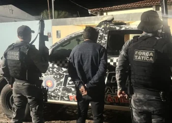 lei, direito, autoridade;