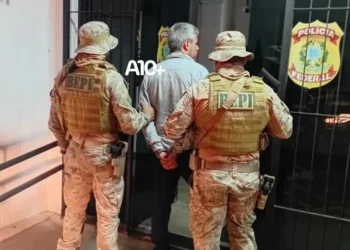 autoridade, segurança, força policial';
