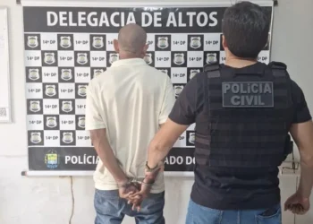 Indivíduo, Pessoa, Agressor;
