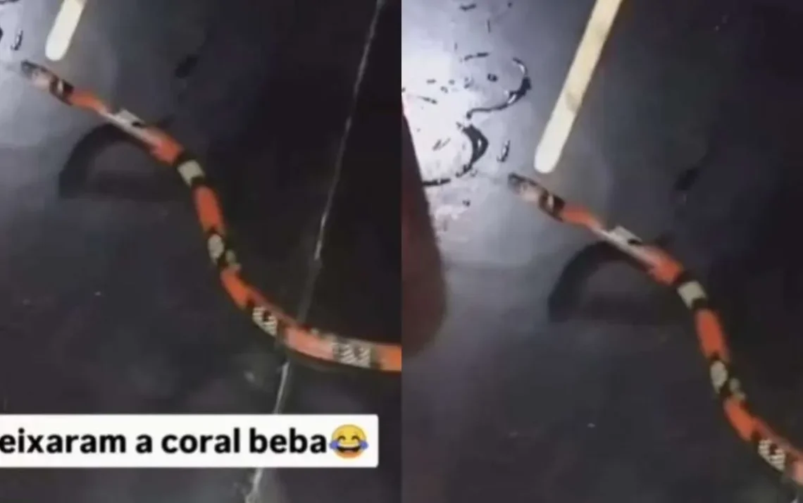 delito, ofensa, infração;