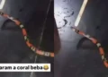 delito, ofensa, infração;