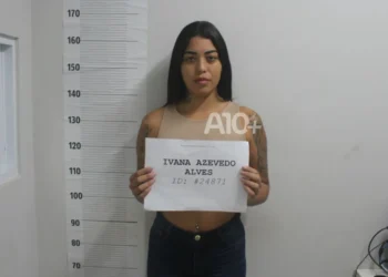 lei, direito, crime;
