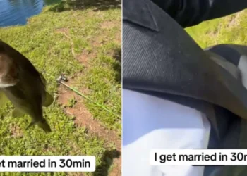 união, matrimônio, bodas;