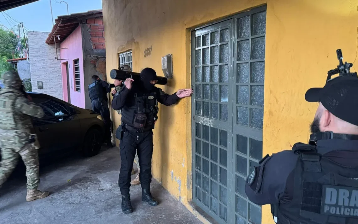 ação, investigação, prisão';