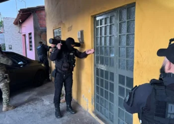 ação, investigação, prisão';