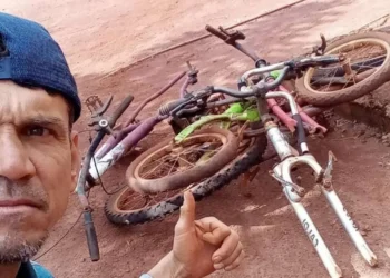 ecologista, ativista, defensor do meio ambiente;