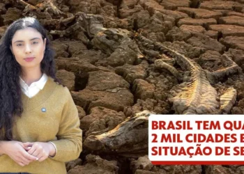 líquido, fluido, umidade;