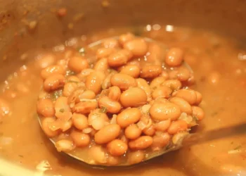 bem-estar, nutrição, condicionamento físico;