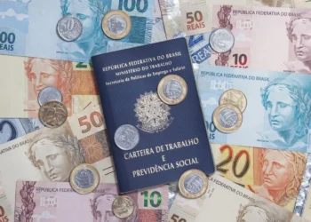emprego, labor, atividade;