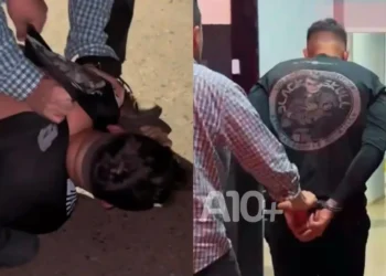 autoridade, segurança, força policial;