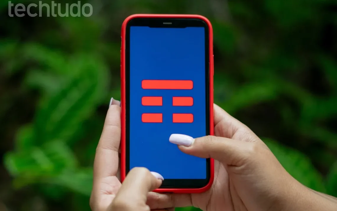 operadora, empresa de telefonia, provedor de serviços;