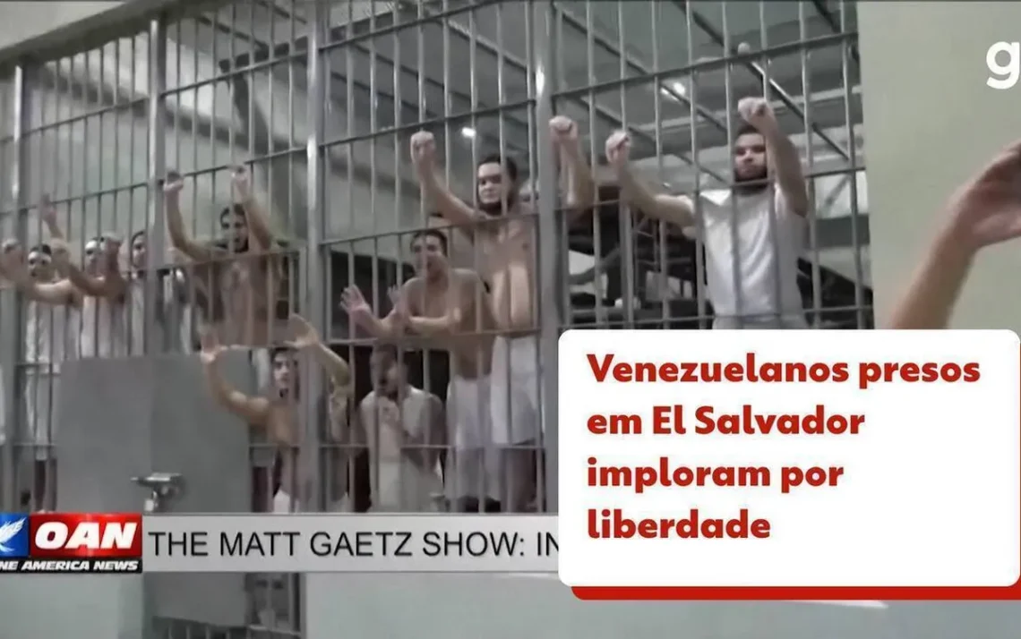 alforria, emancipação, autonomia';
