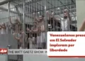 alforria, emancipação, autonomia';