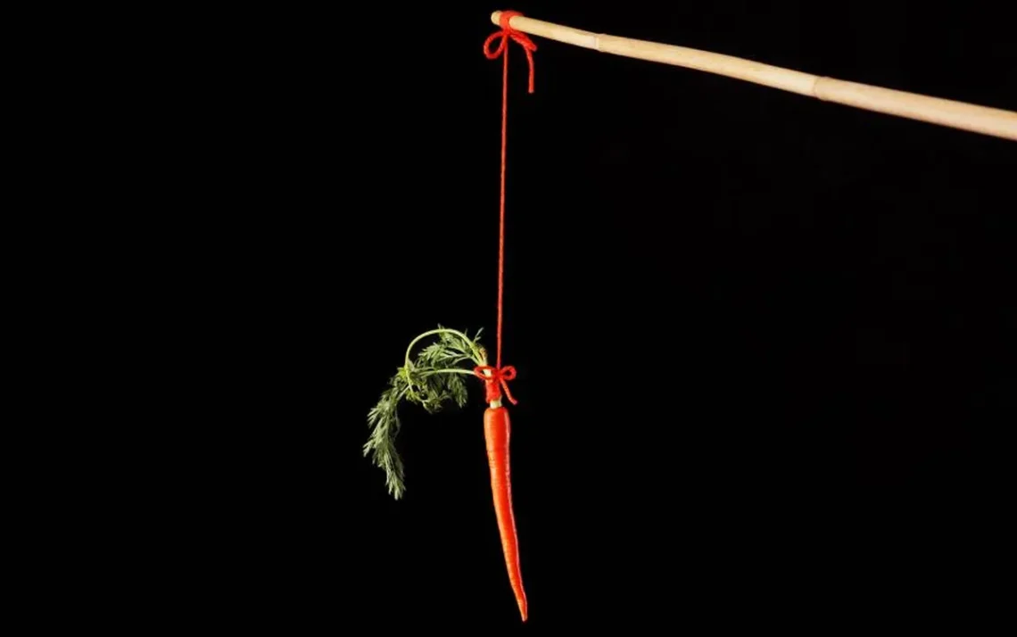 raiz, hortaliça, vegetal';