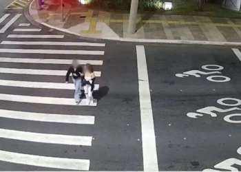 colisão, atropelamento, incidente';