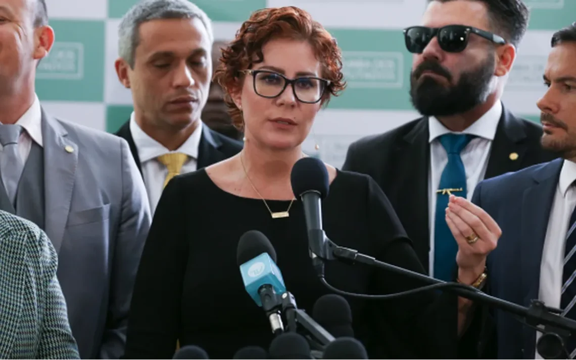 deputada federal, parlamentar, política';