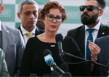 deputada federal, parlamentar, política';