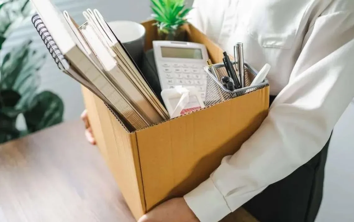 profissão, trabalho, emprego, atividade, ocupação';