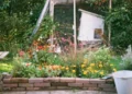 erva, planta, aromática';