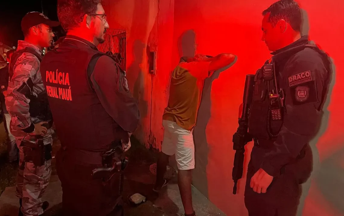 segurança, autoridade, fiscalização;
