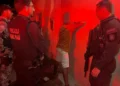 segurança, autoridade, fiscalização;