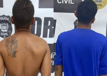 Autoridade, Segurança, Lei';