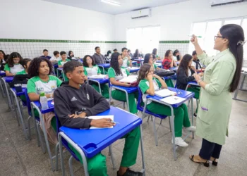 Ensino, Instrução, Aprendizado';