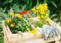 vegetação, flora, arbustos';
